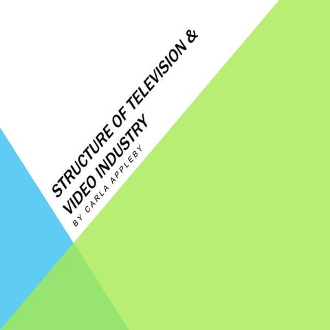 Structure of Television & Video Industry 