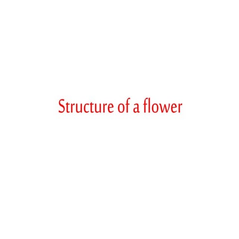 Structure of the flower 2