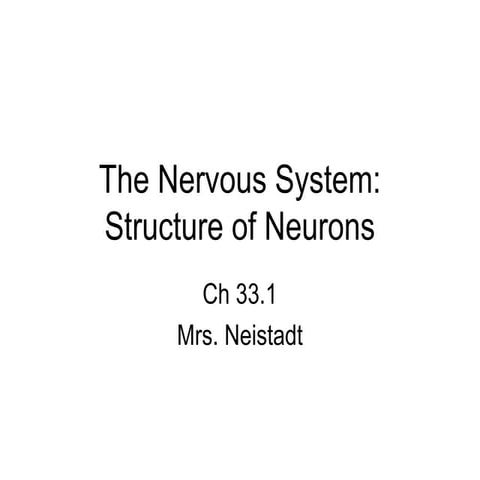 Structure of the nervous system
