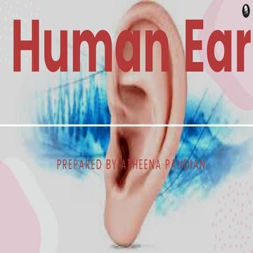 Structure, parts and function of human ear
