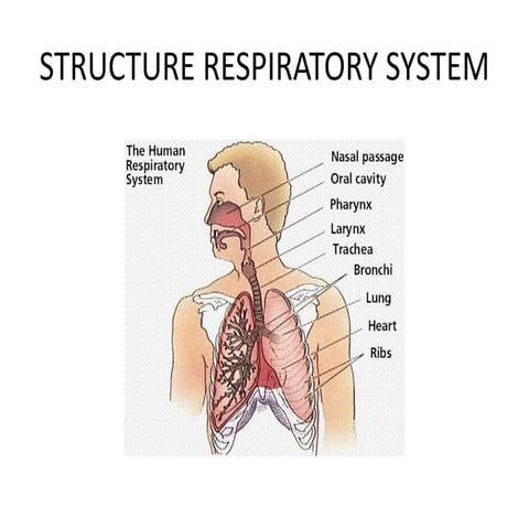構造の英語 visual data 2