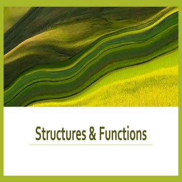 Structures & functions | PPT