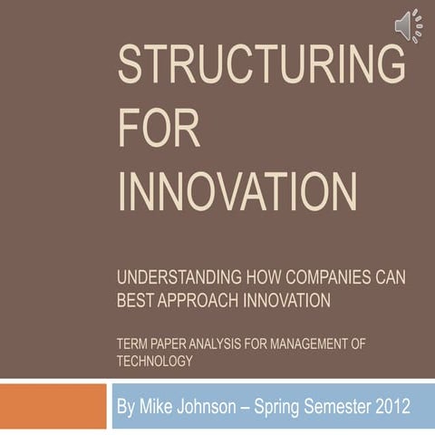 Structuring for innovation term paper