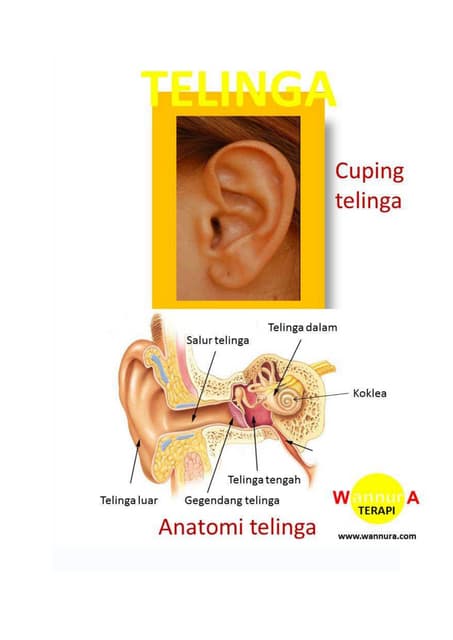 Ismar 2010 Presentation