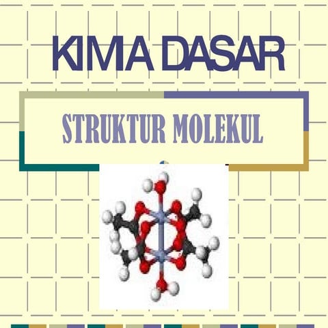 S T R U K T U R  M O L E K U L