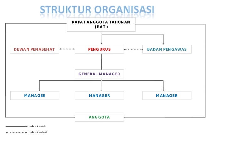 Garis Komando Dan Garis Koordinasi Struktur Organisasi