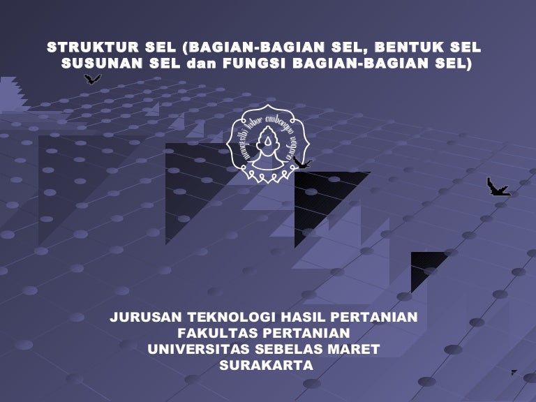 Itp Uns Semester 2 Strutur Sel