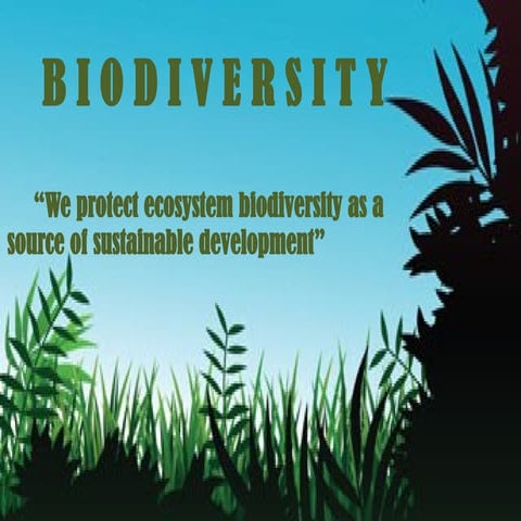 STS-16-BIODIVERSITYyyyyyyyyyyyyyyyy.pptx