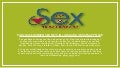 Looking For A Secure Website To Buy Sex Toys? Call/Whatsapp- 9874492333 1 stsludhianapp3 211115105700 thumbnail 2