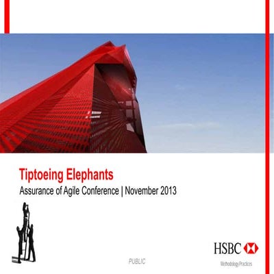 Stuart Mitchell, HSBC, Tiptoeing Elephants