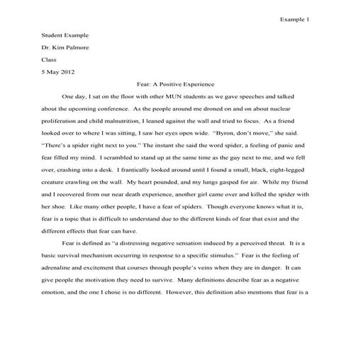 Student example essay 3