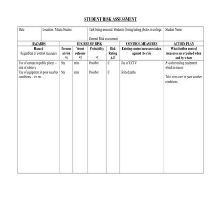 Risk Assessment | PDF