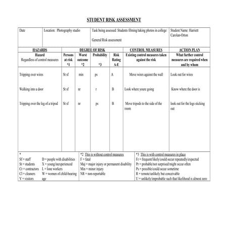 Student risk assessment | DOCX