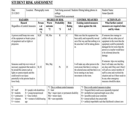 British museum risk assessment (for the journey) | PDF