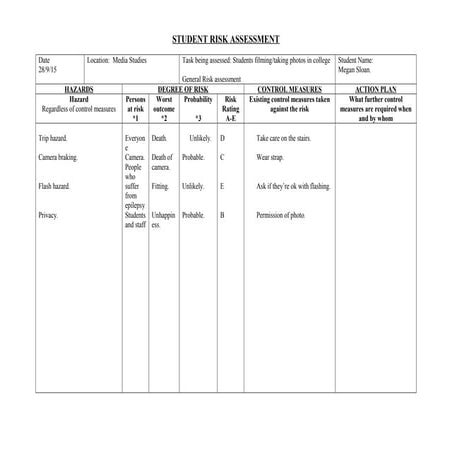 Risk assessment for music mag | DOC