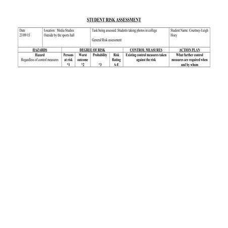 Student risk assessment | DOCX