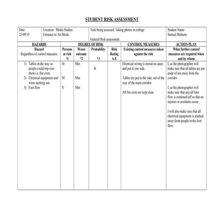 Risk assessment | DOC