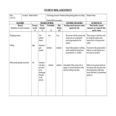 Student Risk Assessment Form | DOC
