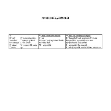 Risk assessment for music mag | DOC