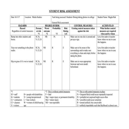 Risk assessment for music mag | DOC