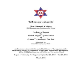 BSC CSIT Final Year Internship Expe...