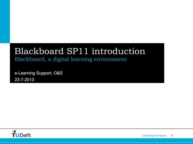Blackboard Introduction SP11