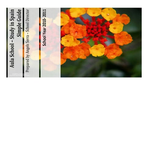 Studies in spain from cyprus