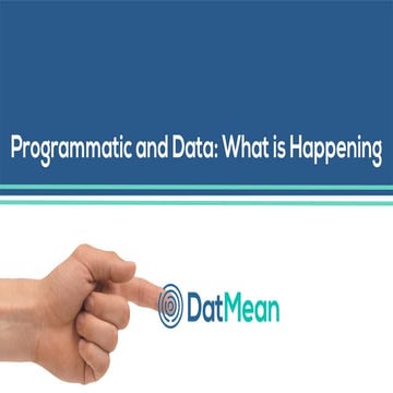 Study programmatic and data in Spain Datmean