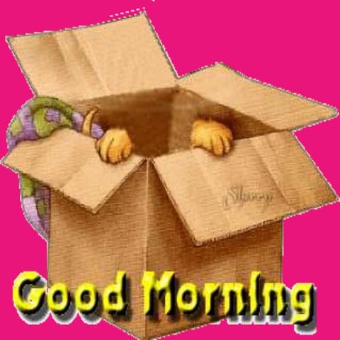 Study designs in research methodology 