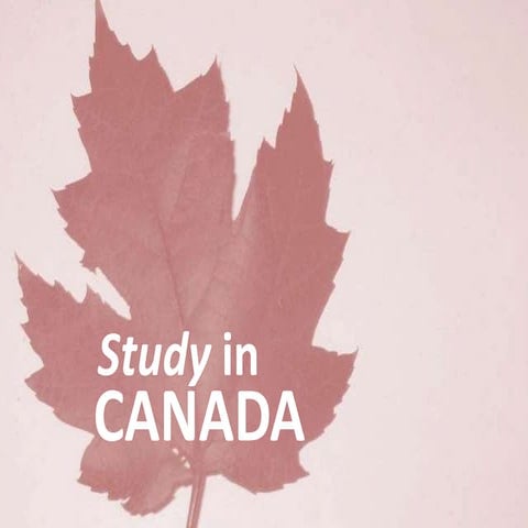 Study in Canada