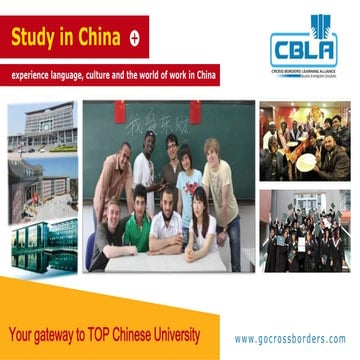 Study MBBS & Engineering in China