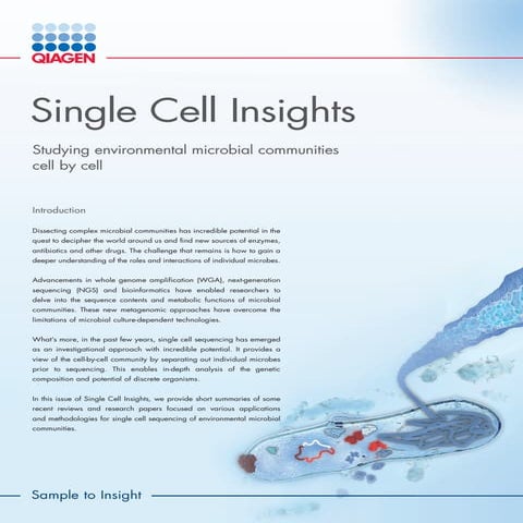 Single Cell Insights: Studying Environmental Microbial Communities Cell ...