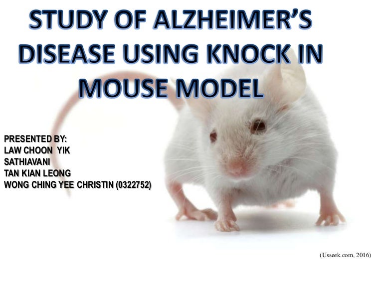 Study of alzheimer's disease using knock in mouse model