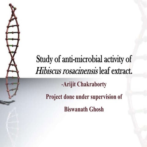 Study of anti microbial activity of hibiscus rosacinensis leaf