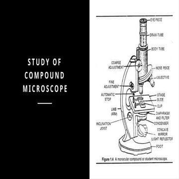 study of compound microscope to understand the working principle and ...