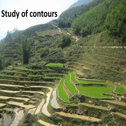 Study of contours.pptx