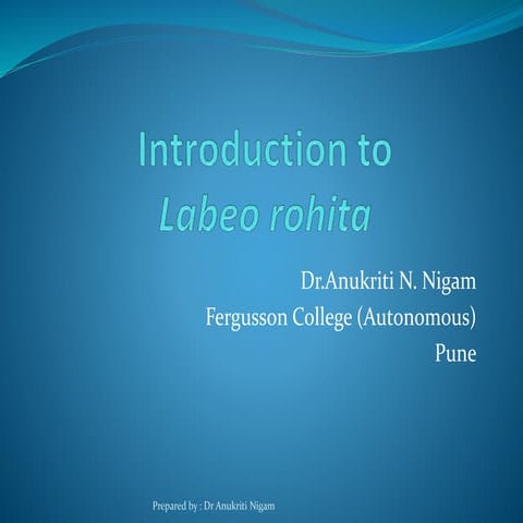 Introduction to Labeo rohita