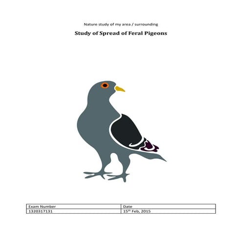 Study of Spread of Feral Pigeons