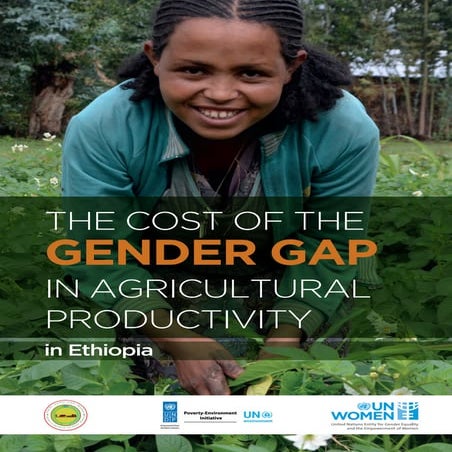 Study report  the cost of the  gender gap  in  agricultural productivity  in  ethiopia- final