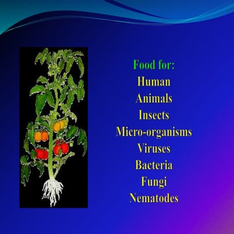 Gene for gene system in plant fungus interaction | PPTX