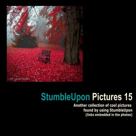 Stumble upon pictures 15