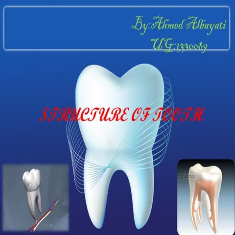 Sturcture of tooth