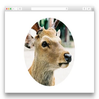 スタイルシートの詩