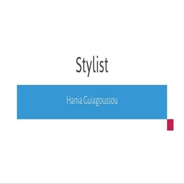 Stylist Presentation