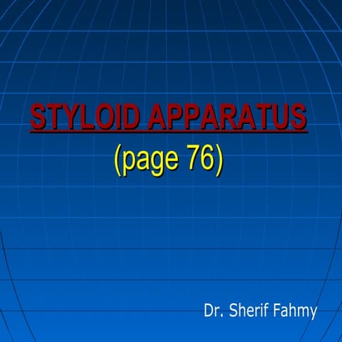 Styloid Apparatus (Anatomy of the Neck)