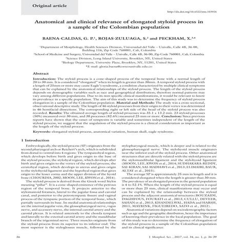 Styloid process | PDF