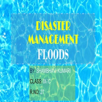 Disaster Management PPT