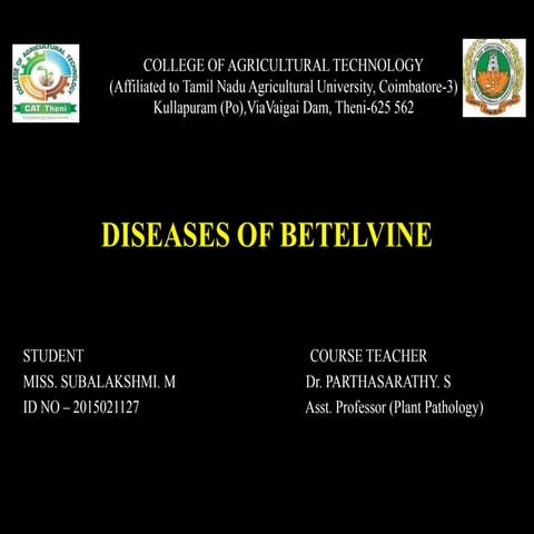 DISEASES OF BETELVINE
