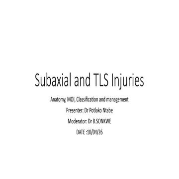 Slic System | PPT