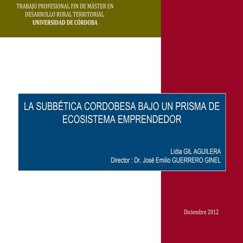 The Subbética area under the perspective of entrepreneur ecosystem